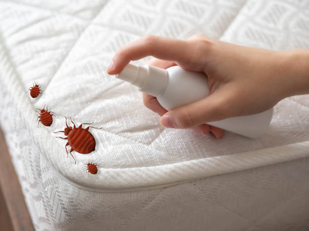 Stratford Downtown, CT Pest Control Company
