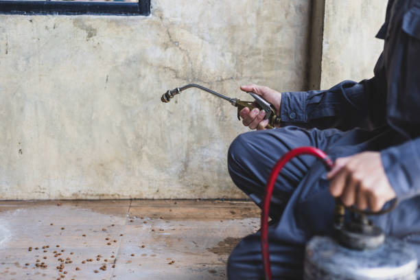Best Pest Control for Homes  in Stratford Downtown, CT